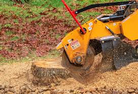 Best Lawn Renovation and Restoration  in Holtville, CA