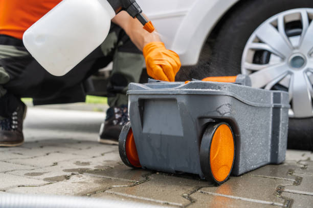 Best Pest Control for Lawns  in Holtville, CA
